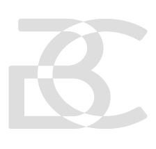 לוגו ברוקרדיט 2